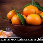lezzetli-mandalina-nasıl-seçilir