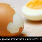 Haşlanmış-Yumurta-Nasıl-Soyulur